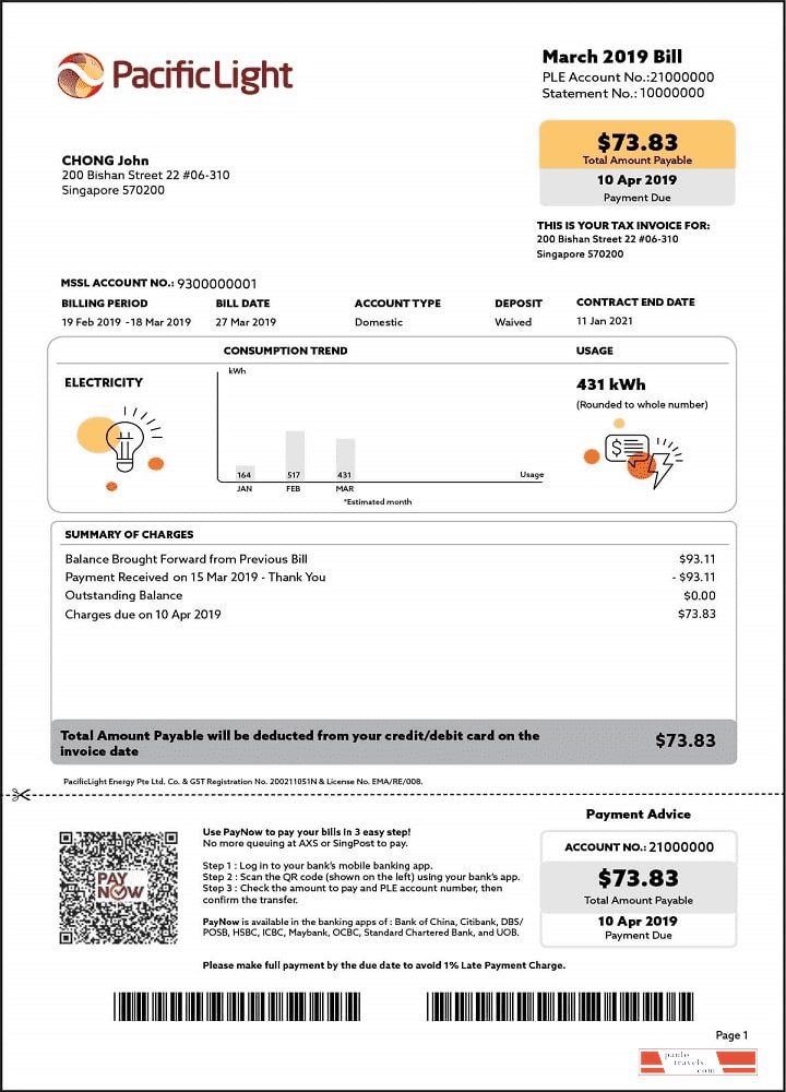 Singapore Pacific Light electricity utility bill template in Word and PDF format